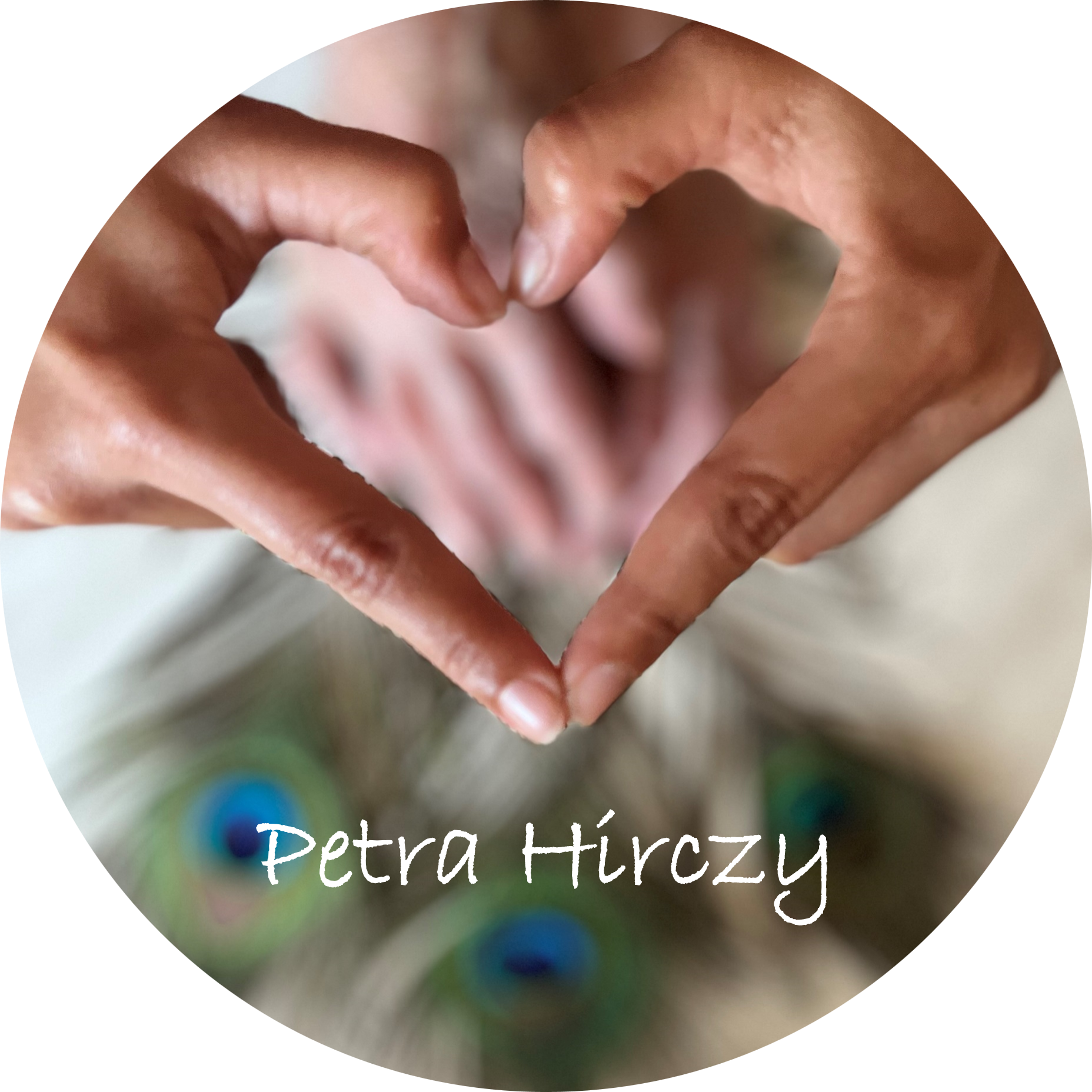 petra-hirczy.at